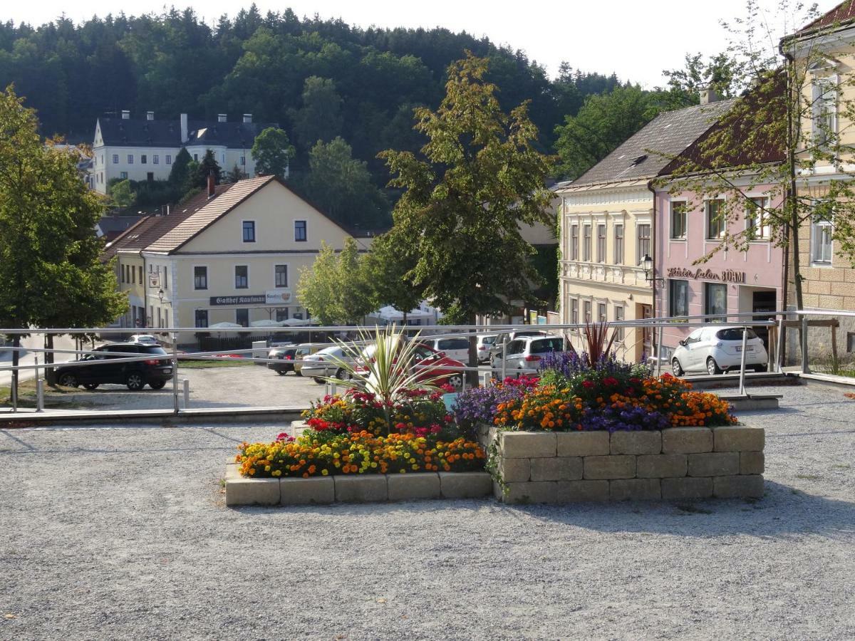 Gaestehaus Familie Loeffler - Ferienwohnung Am Stadtplatz In リッチャウ エクステリア 写真